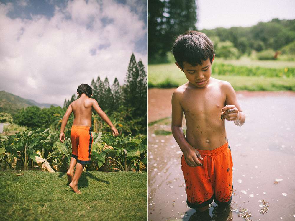 Kehau and her family working on the taro patch. photographed for tropical moms, a series on Maui motherhood.