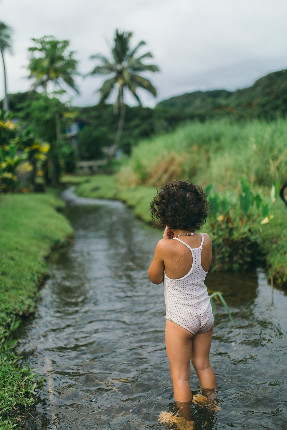 keanae peninsula mama Kamalani shares on tropical moms, a series on Maui motherhood with interviews and family photography. kamalani in the taro patches. 
