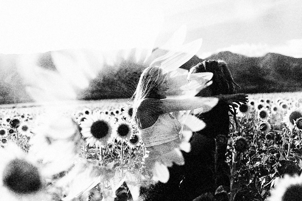 sunflower field photos portraits photography. 