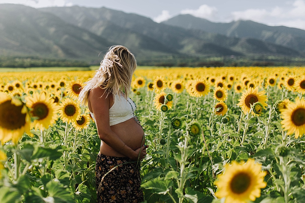 maternity photos in hawaii maui sunflower fields.