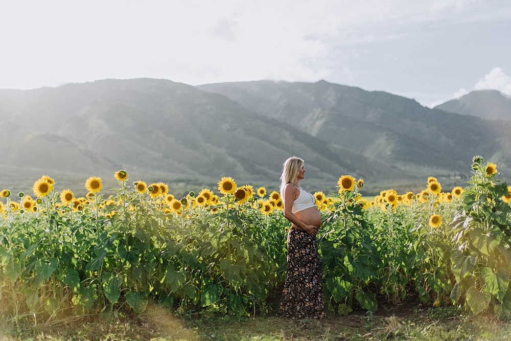 beautiful maternity photos in maui's sunflower field