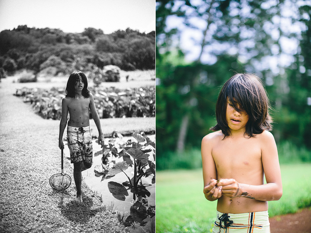 boy works in taro patch on Maui