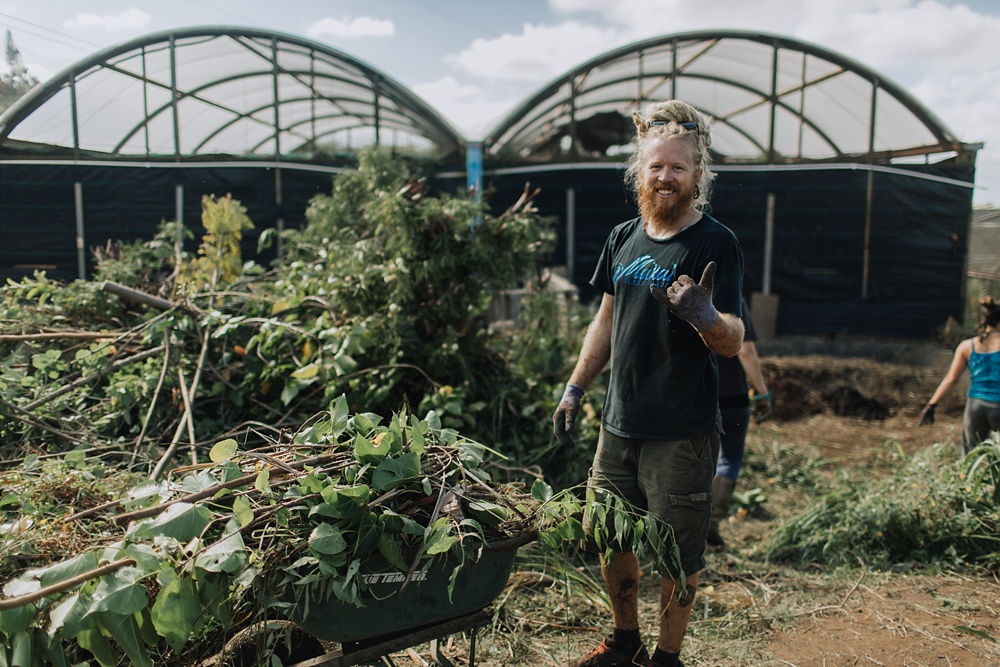 volunteer in the garden in maui, hawaii to benefit the schools and homeless shelter